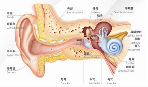 刺啦！听到了粉笔划过黑板的声音 为什么会让你抓狂？