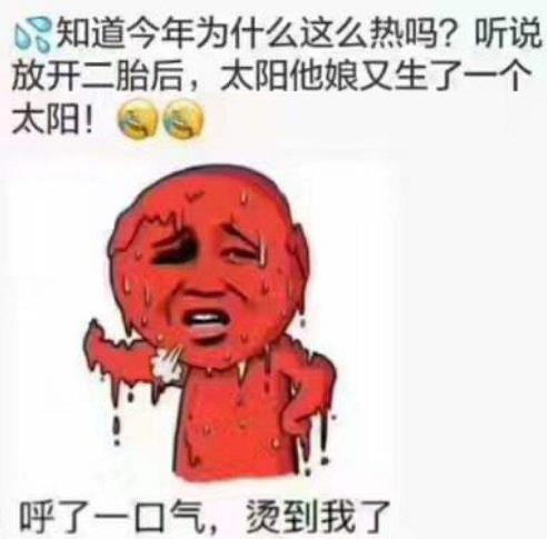 三伏天”的贴心小叮嘱